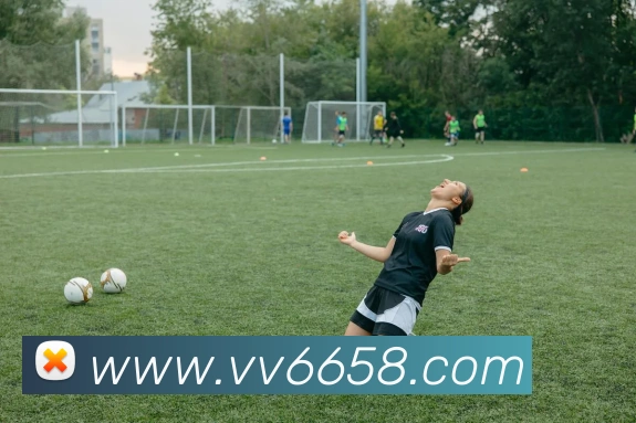 v66品牌故事